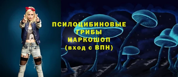 марки nbome Няндома